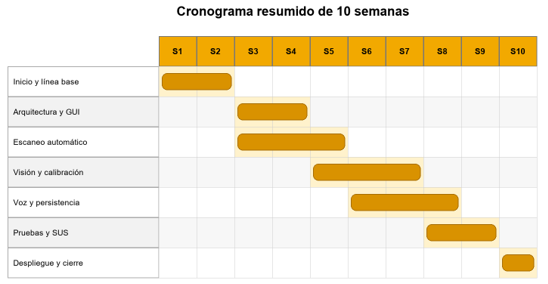 Diagrama de Gantt resumen